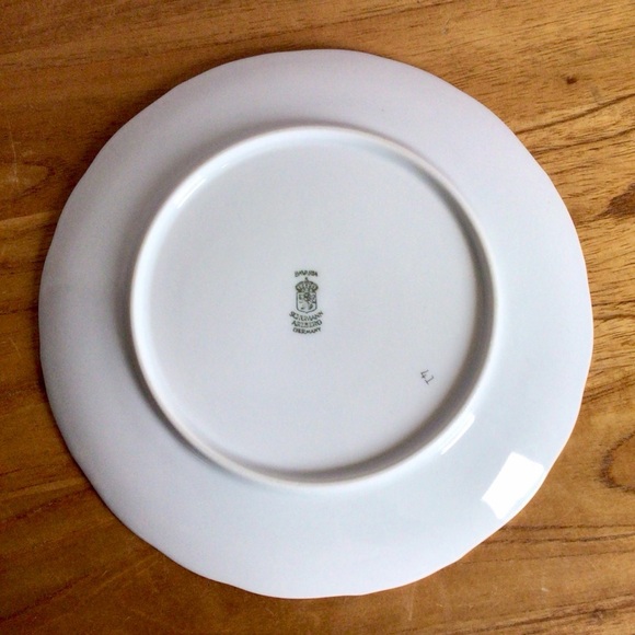 Vintage Bavaria Schumann Arzberg Fruit Motif Porcelain Plates - Set of 2 - Picture 5 of 11